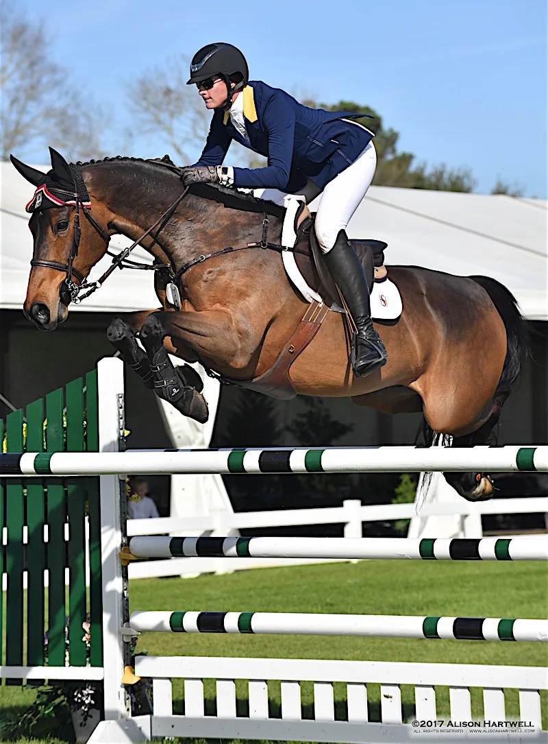 Shannon Hicks guided Emir D to the top of the $25,000 Nutrena Grand Prix at the Gulf Coast Winter Classic Circuit for their first grand prix win together. Photo by Alison Hartwell Photography