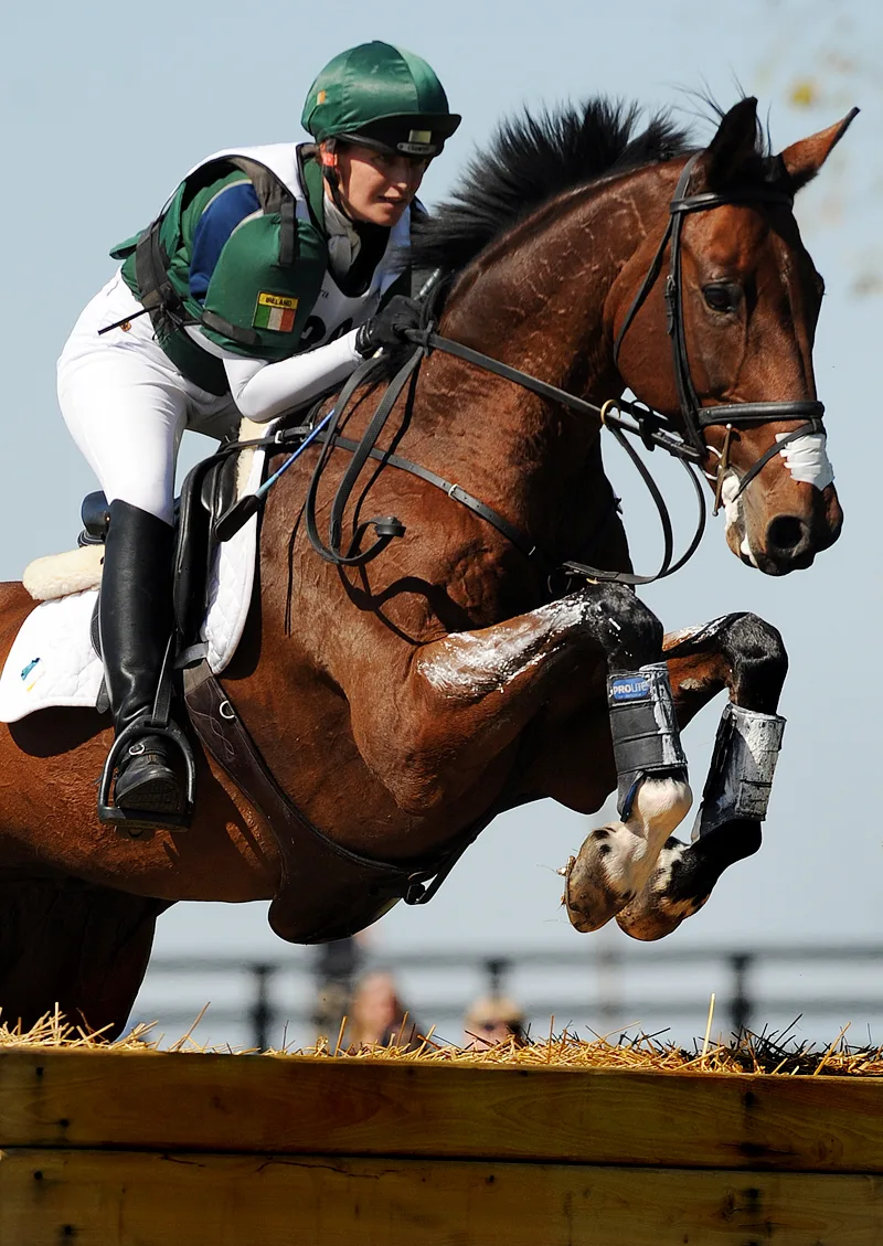 2010_WEG_XC_Ryan_Fernhill_Clover_Mist.jpg