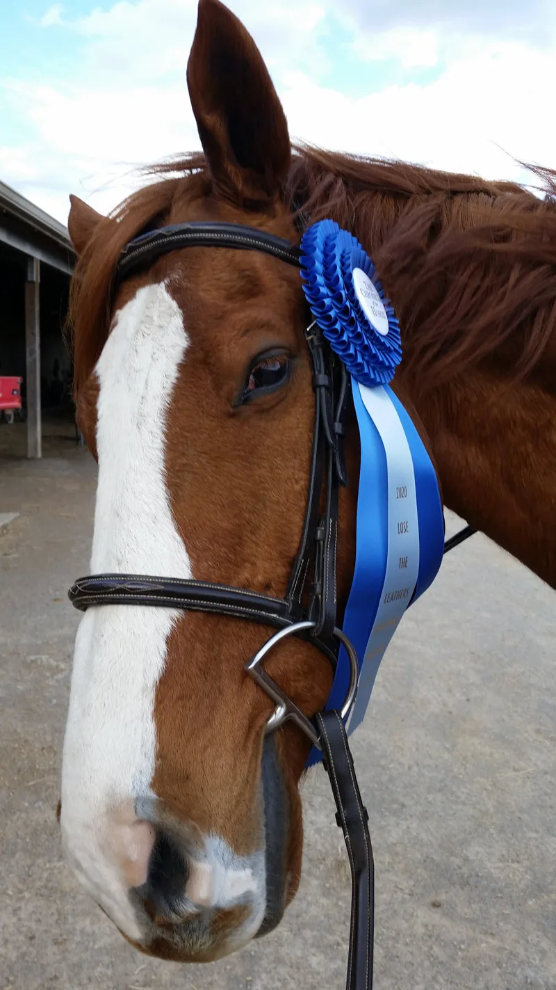 134384691_10225263590842243_2004692987187935928_o