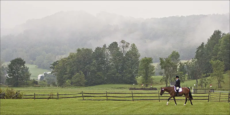 Misty Morning Ride