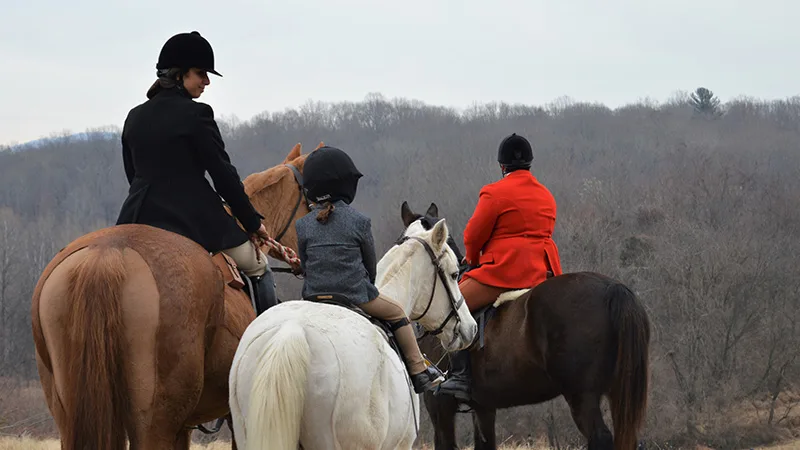 Rental horse slider