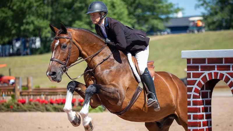 Caitlyn Shiels and Cassius by Fine Art Horses copy