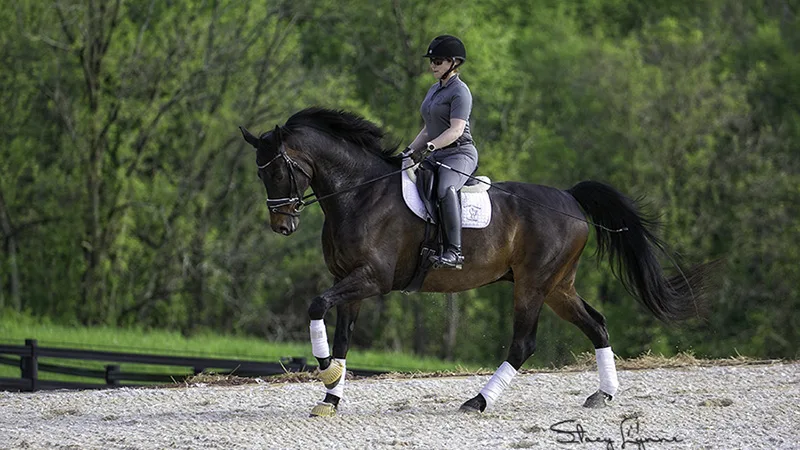 Larry-May 2021 canter slider