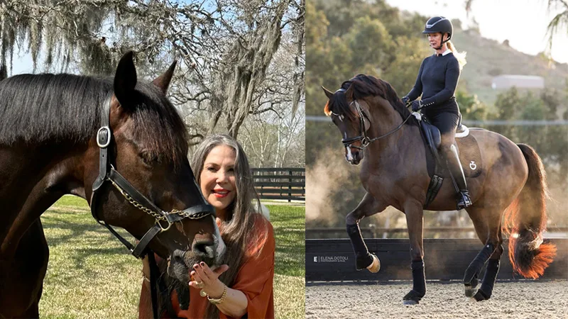 At 17, Sanceo is saying goodbye to his successful performance career with Sabine Schut-Kery and embarking on a life of grass and relaxation with owner Alice Womble. Courtesy Photo left; Elena Dotoli Photo right