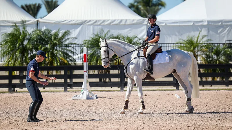 McLain Ward Horsemastership_T Pence