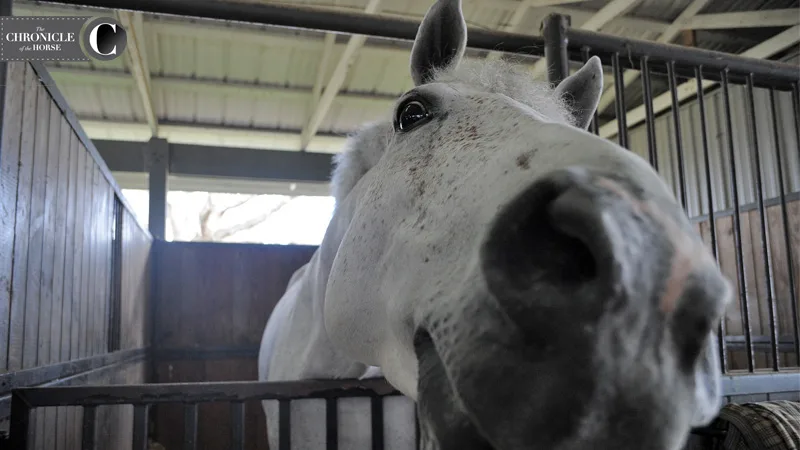 Cascade says "Hi!" Photo by Molly Sorge