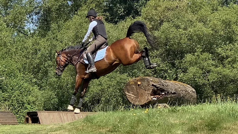 Cairo schooling