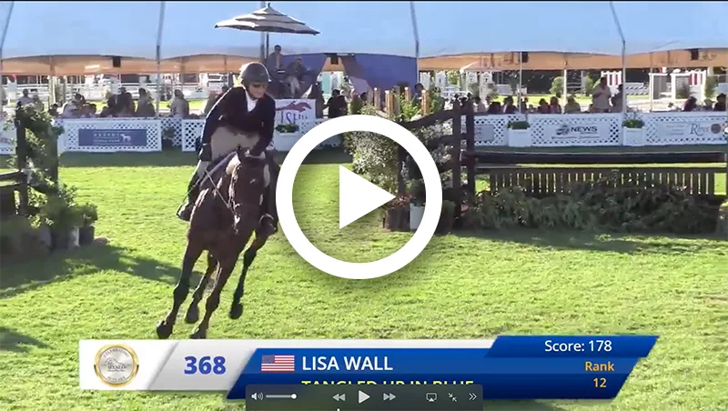 Lisa Wall video