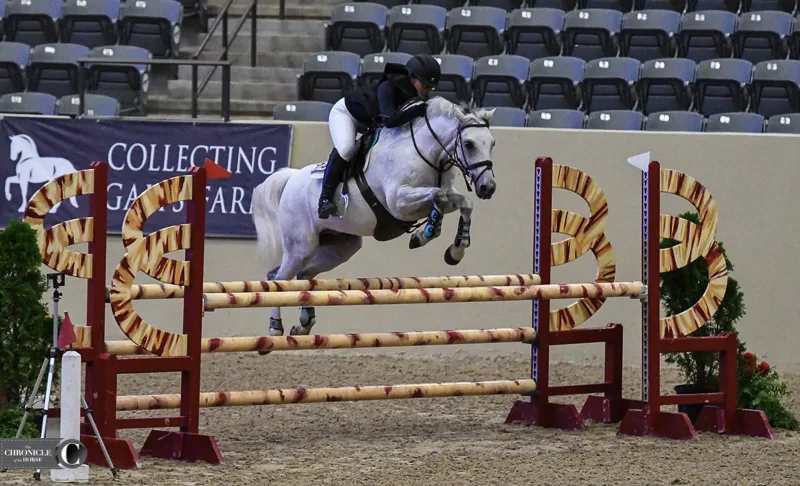 boobydoo - MEET OUR TEAM - LOUISE Louise still holds the pony show jumping  record in her home county (she had a New Forest called Cinderella), she  once walked for 6 days