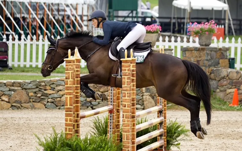 PelligrinoJoyrideUppervillejump