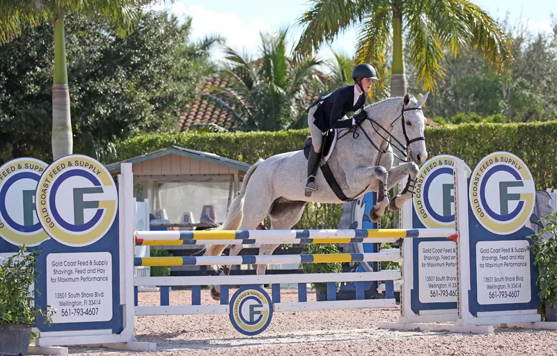 01/02/2017 ; Wellington FL ; Winter Equestrian Festival - Week 4