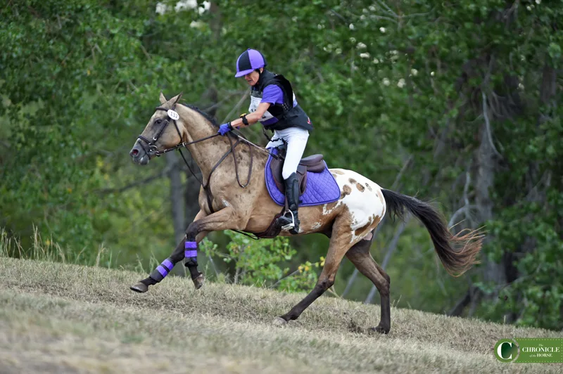 The Jumping Appaloosas – Omaha Equestrian Foundation