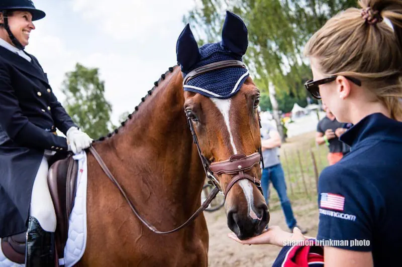 Hobby Horse Jump with Stockholm Horse Week - Visit Stockholm