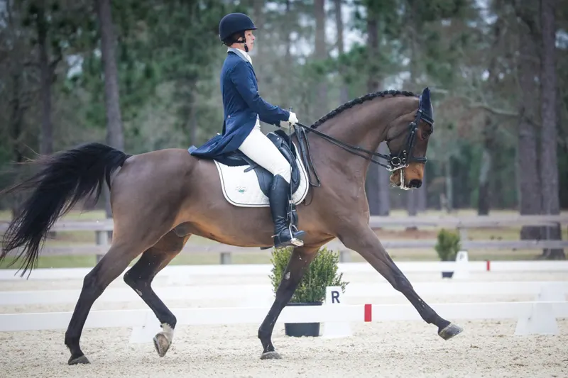 CarrieWehlestable-view-dressage-february-2019--9750