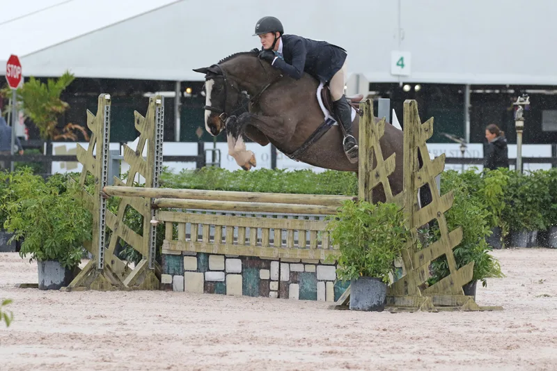 13/02/2019 ; Wellington FL ; Winter Equestrian Festival - Week 6