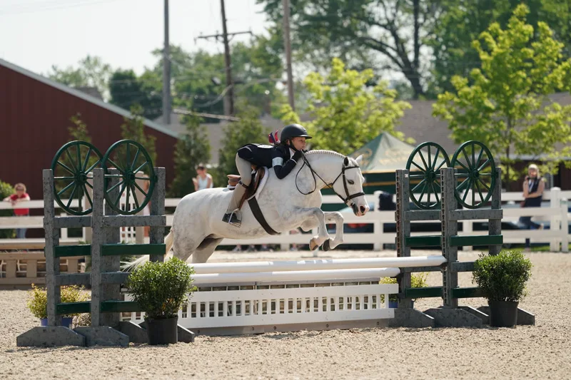 ShilohRoseboom3TheBook