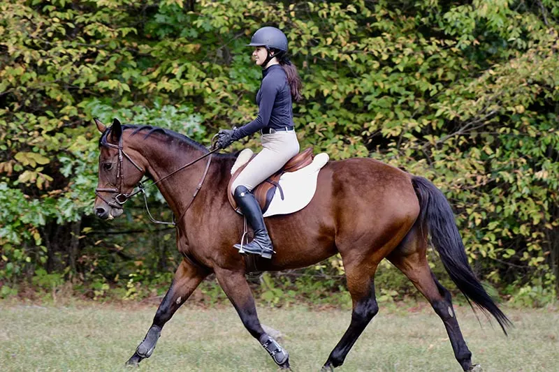 AthleticEquestrianSneakPeekCOTH