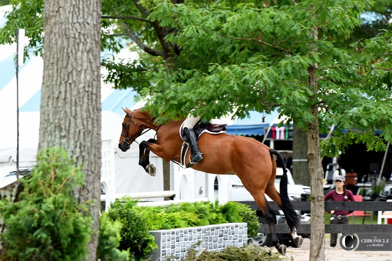 21Upperville_KAL_5737