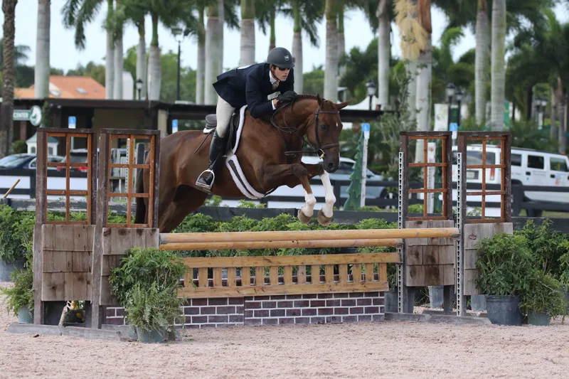 13/03/2019 ; Wellington FL ; Winter Equestrian Festival - Week 10