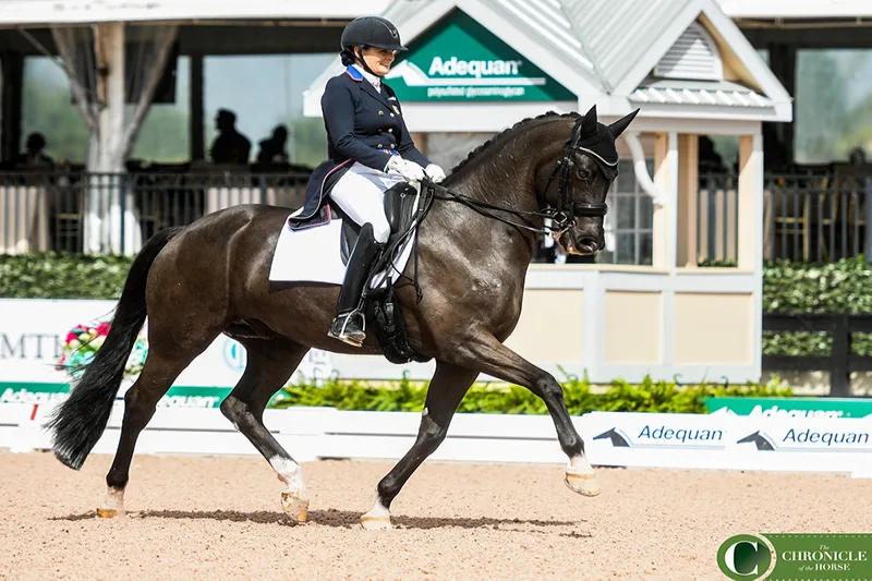 Susan Pape and Harmony's Don Noblesse OPTION 1