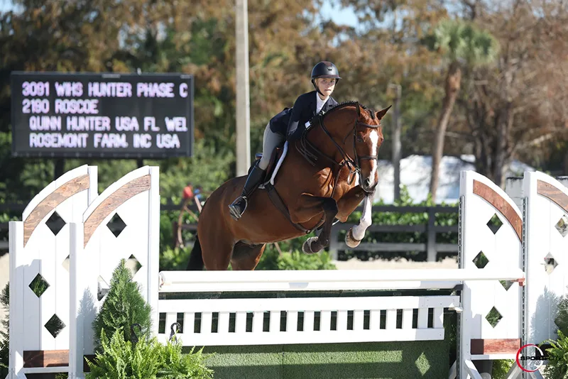 04/01/2023 ; Wellington FL ; Winter Equestrian Festival - Premiere