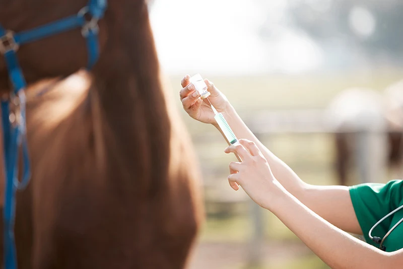 Cropped shot of an unrecognisable veterinarian standing alone and preparing to give a horse an injection on a farm