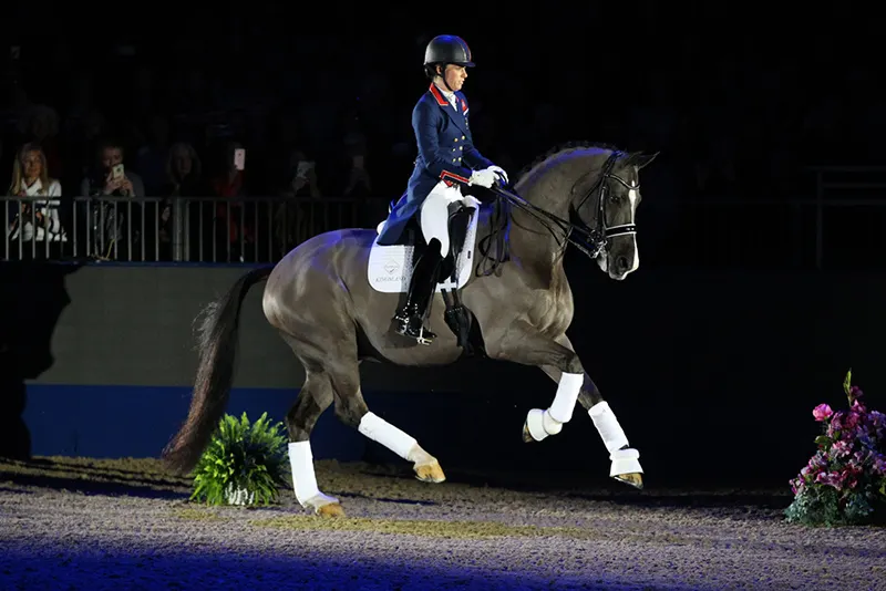 valegro121616d