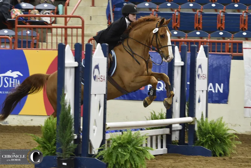 Sheriden Beard Skidmore on Gio
