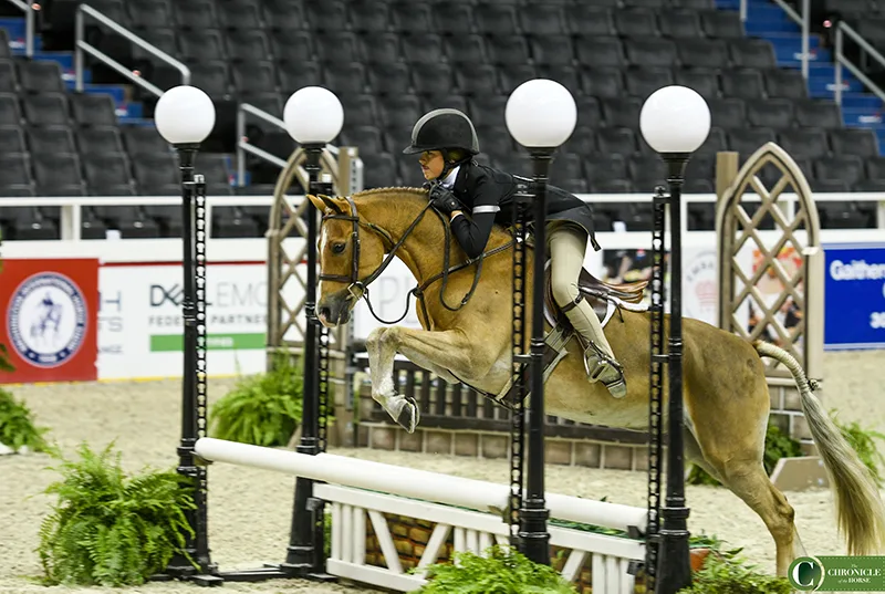 MaddyTosh_BitOfLove_WIHS2018