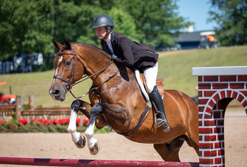 Caitlyn Shiels and Cassius by Fine Art Horses