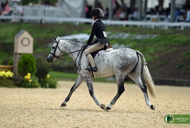 What You Need To Know 2022 USEF Pony Finals The Chronicle of the Horse