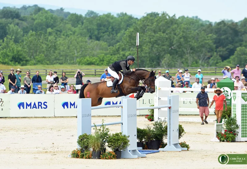 21Upperville_Rodrigo Pessoa_Lord Lucio_KimberlyUPP_8943