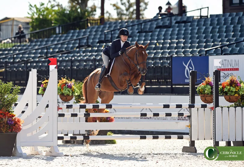 Stearns Leapfrogs To The Top On Day 2 Of Platinum Performance/USEF Show