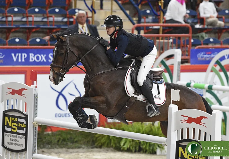 Junior jumpers on sale