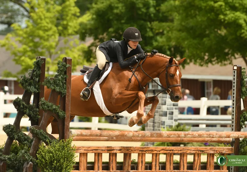 WEB large pony hunter champion Brighton DHS_2897