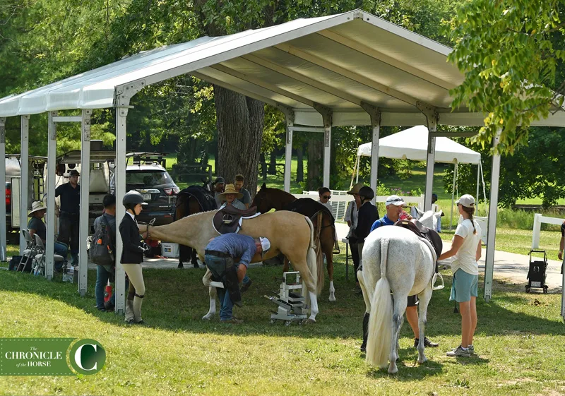 web Farrier line PFI_0848