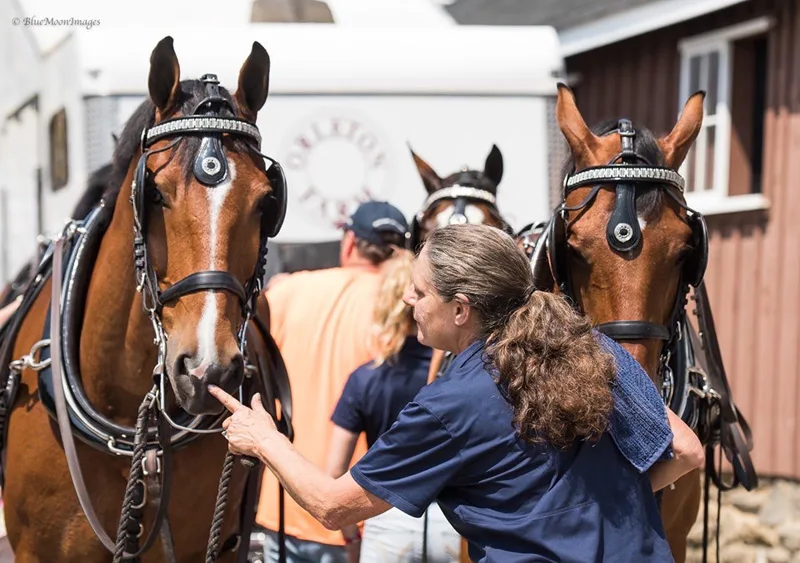 Orna with Bizet and Charon getting ready for our class