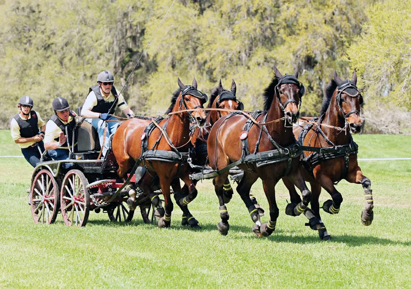 Josh Rector Has Broken Into The Big Time In Four-In-Hand Driving - The ...