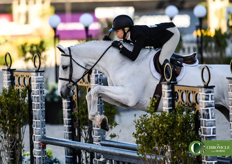 21WIHS_JuliaWeiss_Catena5WAS_5017