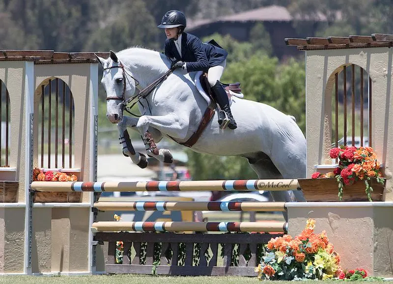 2018-whitethorne-nina-vogel-jumping