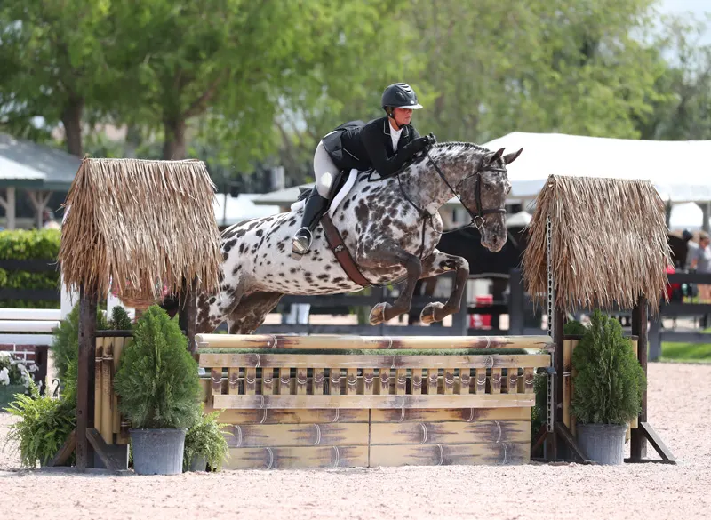 13/03/2019 ; Wellington FL ; Winter Equestrian Festival - Week 10