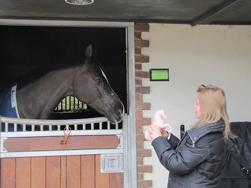 Sculpting Breyer Valegro