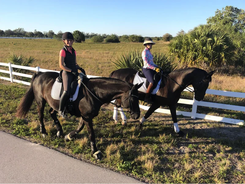 A Day In The Life With: LaGoy-Weltz Dressage Working Student Caroline ...