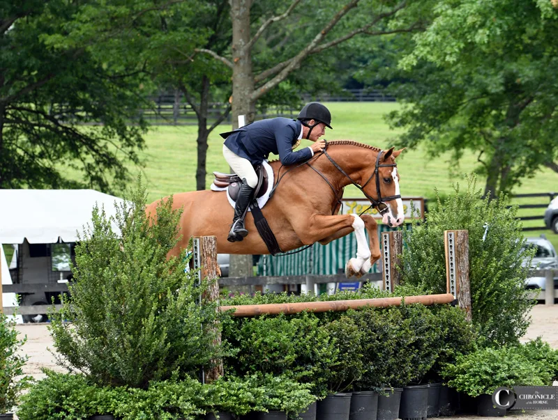 21Upperville_John French_BabylonKAL_5837