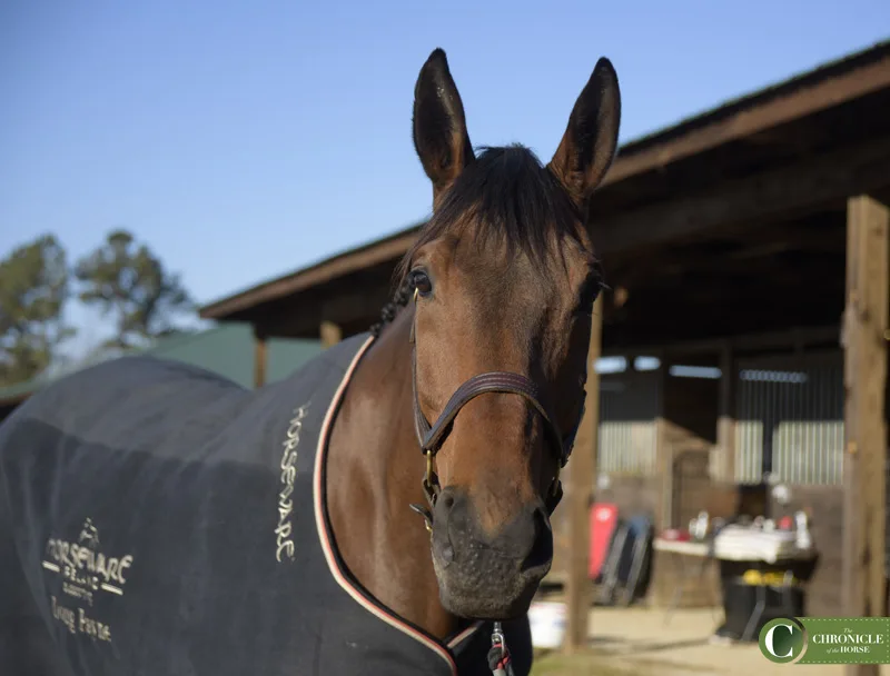 Vandiver comes off a little aloof, but he brightens up once you get to know him. Photo by Lindsay Berreth.