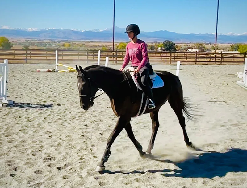 Sophie JUmping Socks