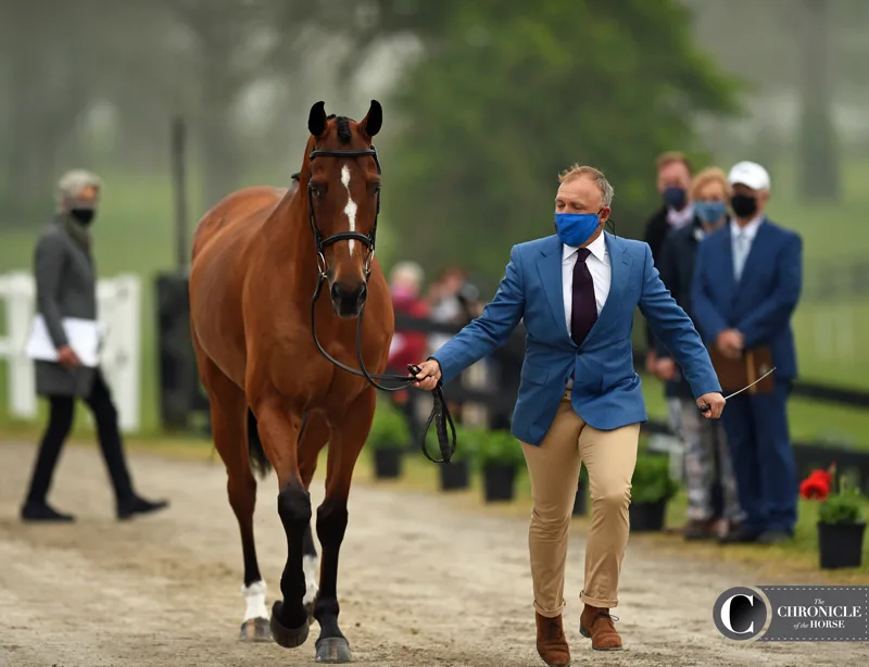 21Ky_Jak My Style_Buck Davidson_KAL-LRK_1330