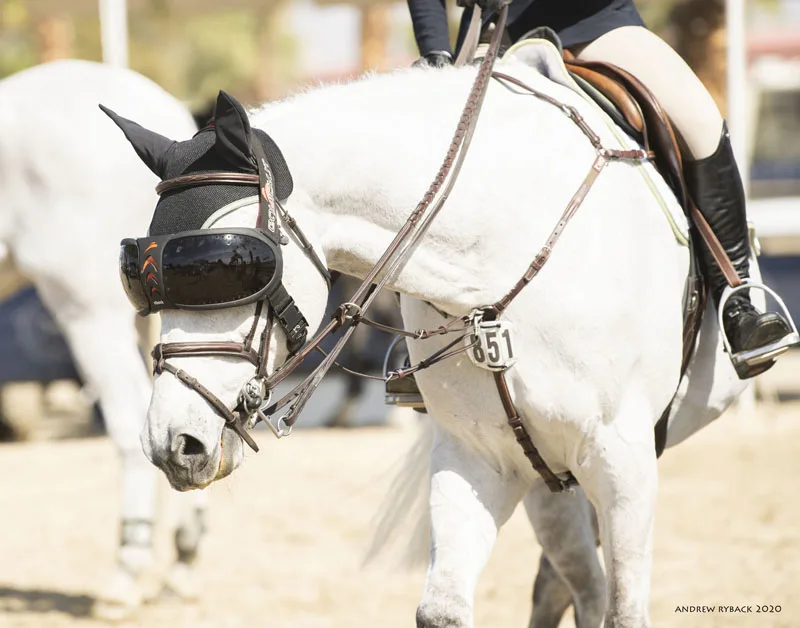 Horse Shades: Ultimate Protection for Your Equine Companion