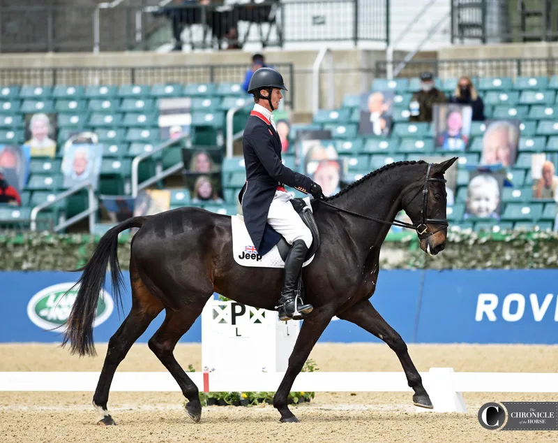 boobydoo - MEET OUR TEAM - LOUISE Louise still holds the pony show jumping  record in her home county (she had a New Forest called Cinderella), she  once walked for 6 days