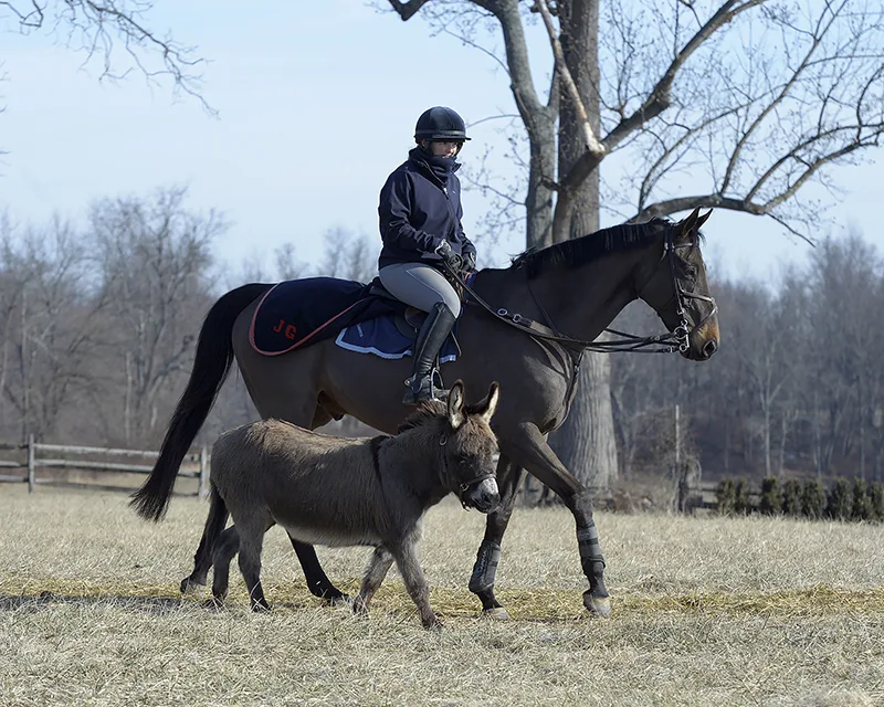 Ashton Williams on Vintage Vinnie-Ire and Fernando. February 1, 2022